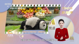丁香六月啪